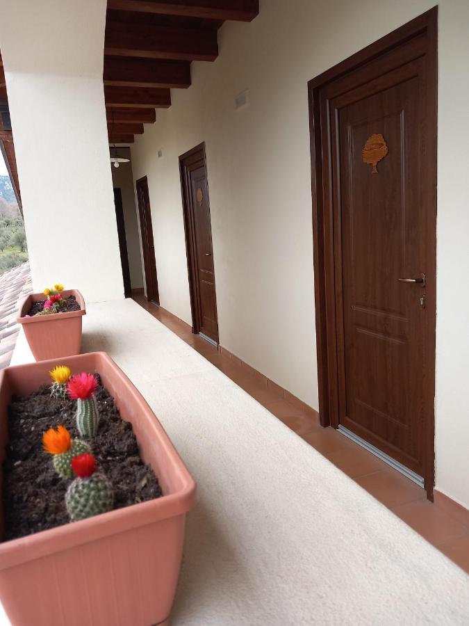 Agriturismo L'Ulivo Padula Dış mekan fotoğraf
