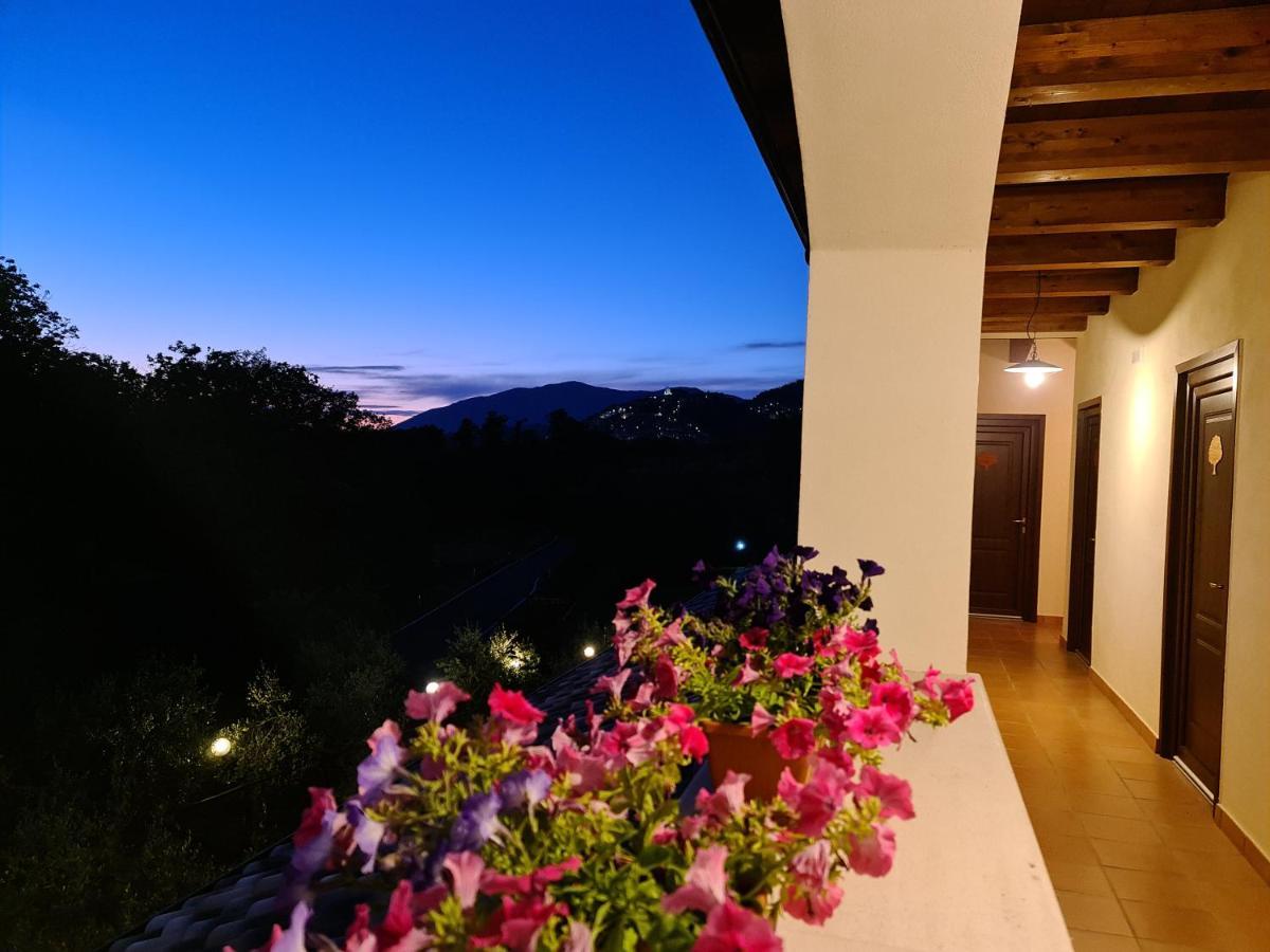 Agriturismo L'Ulivo Padula Dış mekan fotoğraf