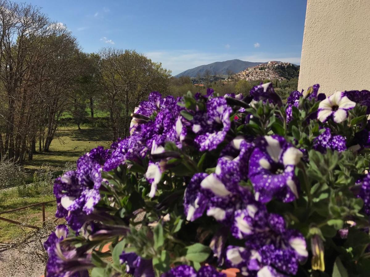 Agriturismo L'Ulivo Padula Dış mekan fotoğraf