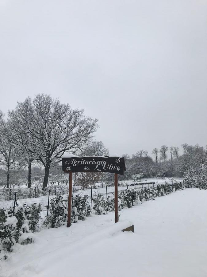 Agriturismo L'Ulivo Padula Dış mekan fotoğraf