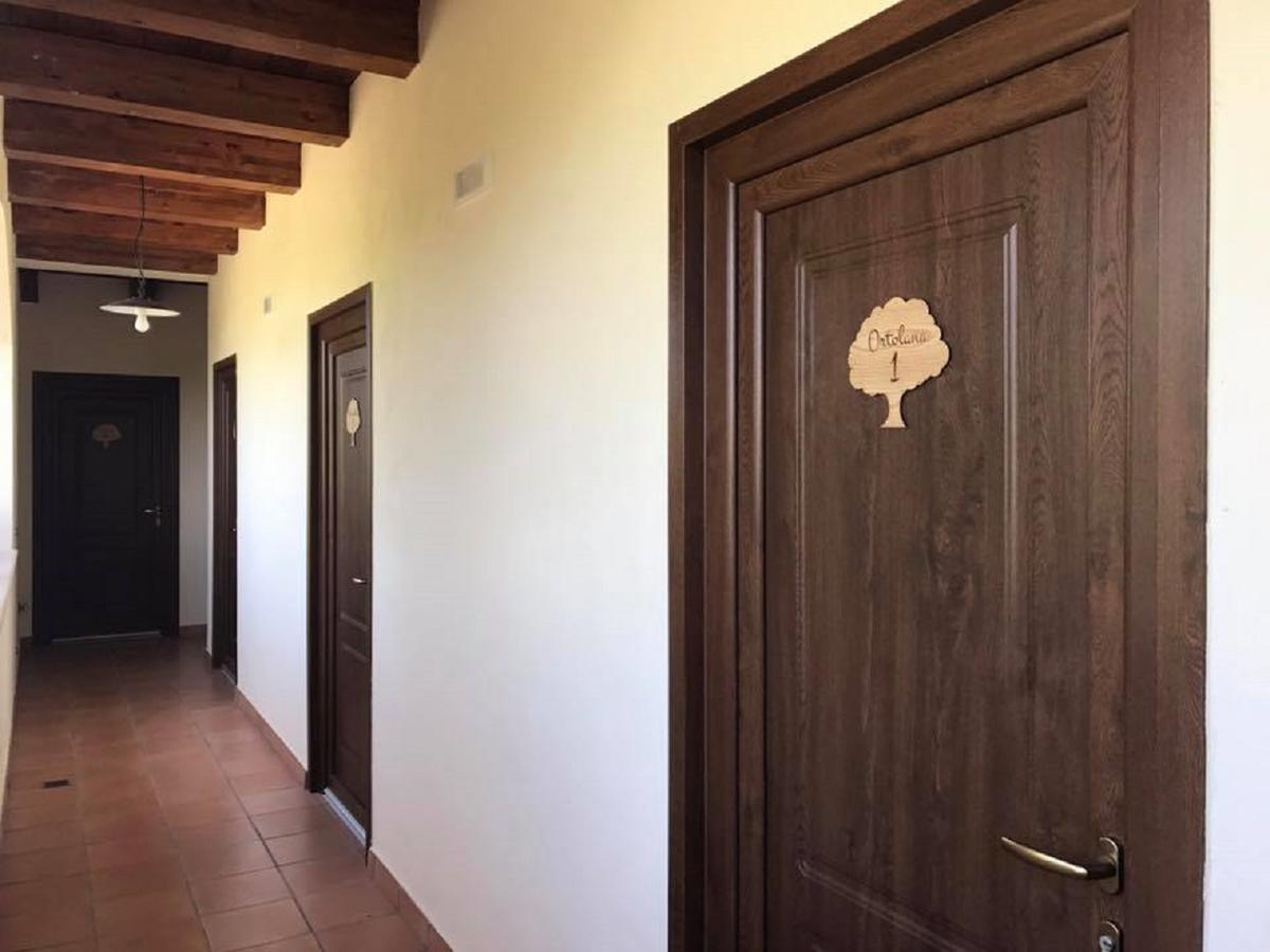 Agriturismo L'Ulivo Padula Dış mekan fotoğraf